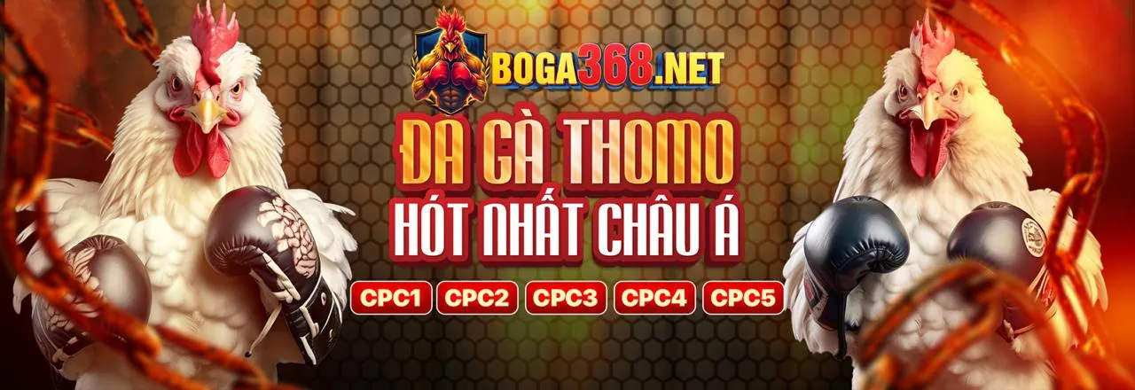 Giao diện cá cược đá gà S66
